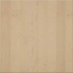 Ahorn europäisch Ahorn europäisch